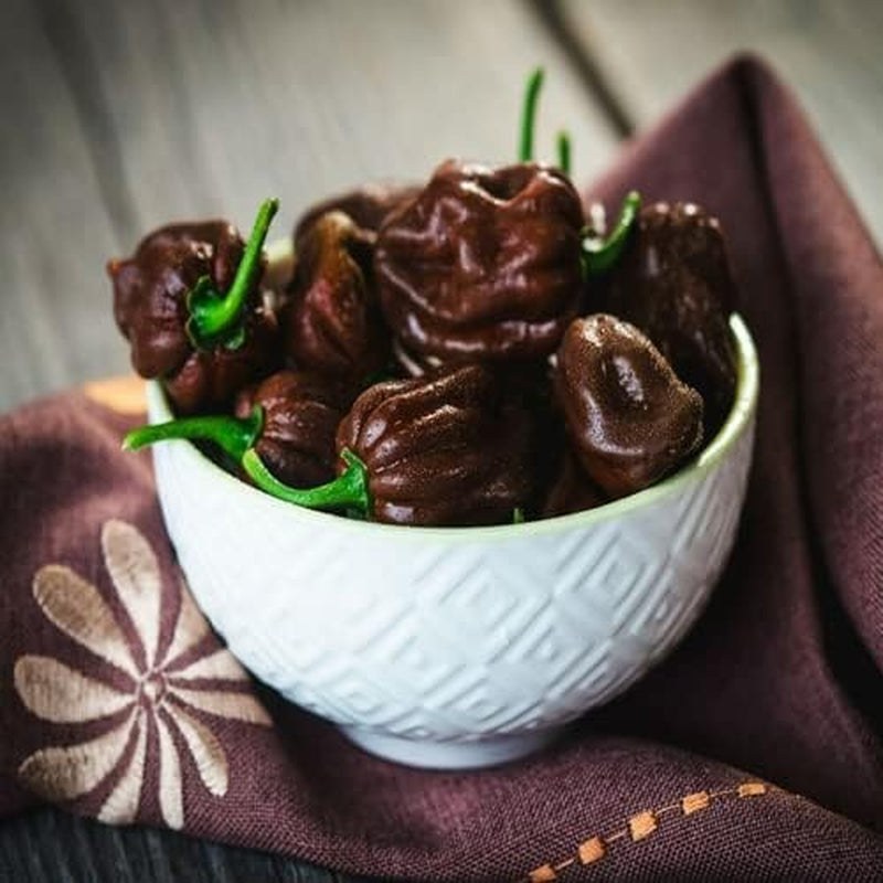 20 Seeds Chocolate Habanero - Capsicum Chinense - 20 Seeds Plant for Your Garden