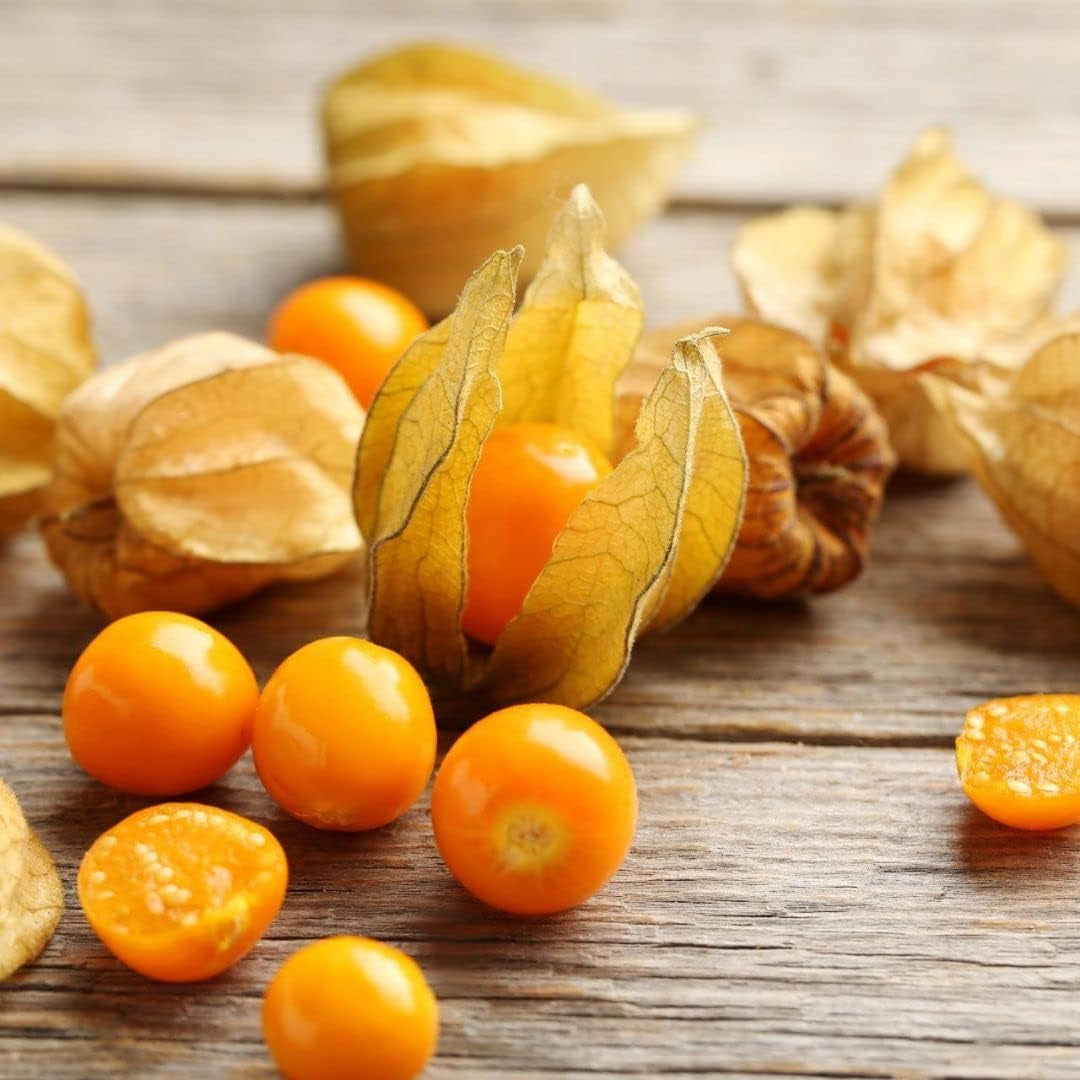 Cape Gooseberry,Giant Poha Berry,100 SEEDS (Physalis Peruviana) ,Ground Cherry