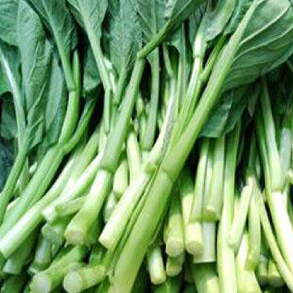 200 Seeds Asian Yu Choy Choi Sum Choy Sum Chinese Flowering Cabbage Veggies - Organic Fresh Seeds for Planting - Seeds for Home and Garden