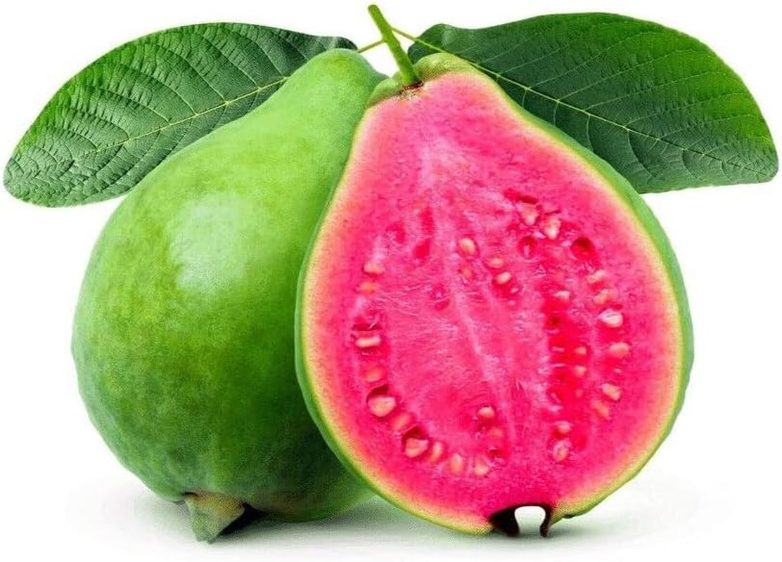 20 Seeds Lemon Apple Pink Guava Tree Fruit Seeds ‘Ruby Supreme’ Plant Psidium Guajava - Organic Fresh Seeds for Planting - Live Seeds for Home and Garden