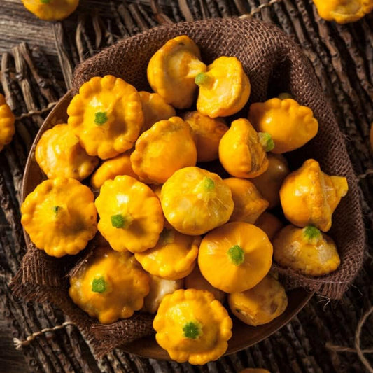 Pattypan 50 Seeds Early Yellow Bush"Patty Pan" Scallop Squash Seeds | Pattypan Vegetable Seeds