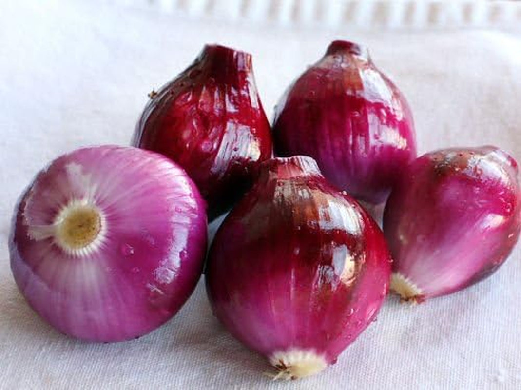 200 Organic Non-Gmo Ruby Red Onion Seeds Burgundy