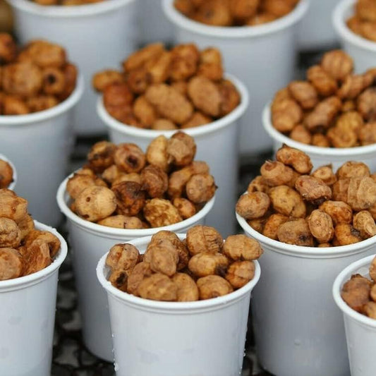 Plant Seed Tiger Nut 10 Seeds - Cyperus Esculentus V. Sativus Organic Nuts for Your Garden