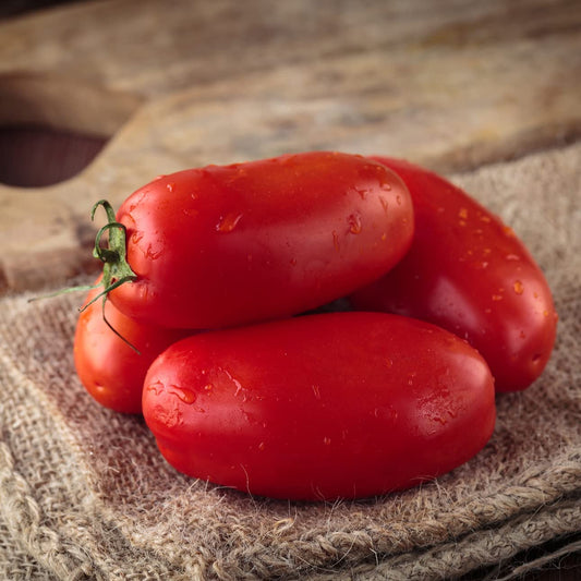 San Marzano Tomato - Huge Long Tomatoes so Good(25 - Seeds)