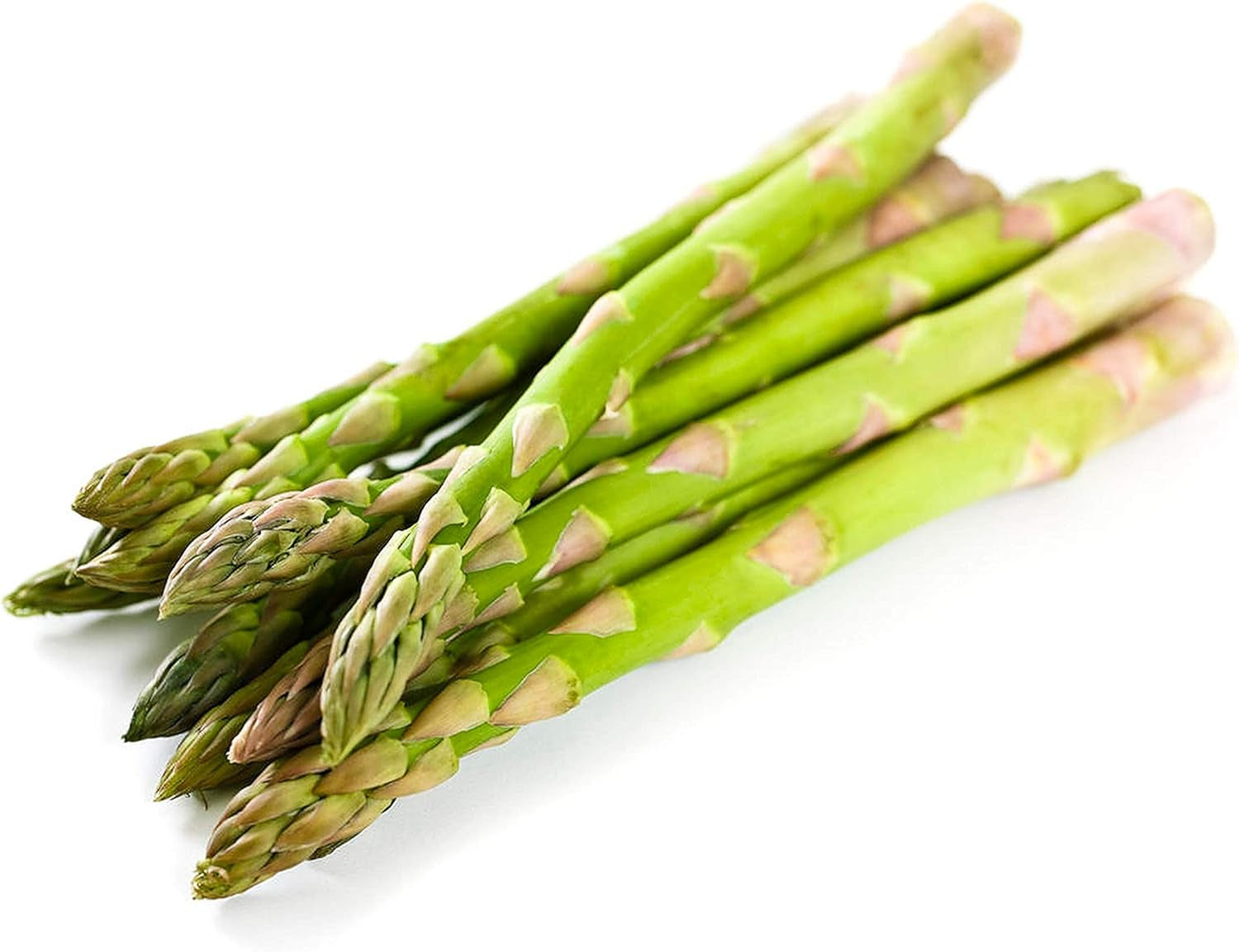 Mary Washington Asparagus 100 Seeds - Organic Heirloom Non GMO Vegetable Seeds, Asparagus Organic Seeds for Planting, Vegetable Seeds for Planting Home Garden